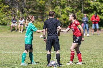 Bild 37 - F SG NieBar - IF Stjernen Flensborg : Ergebnis: 2:0